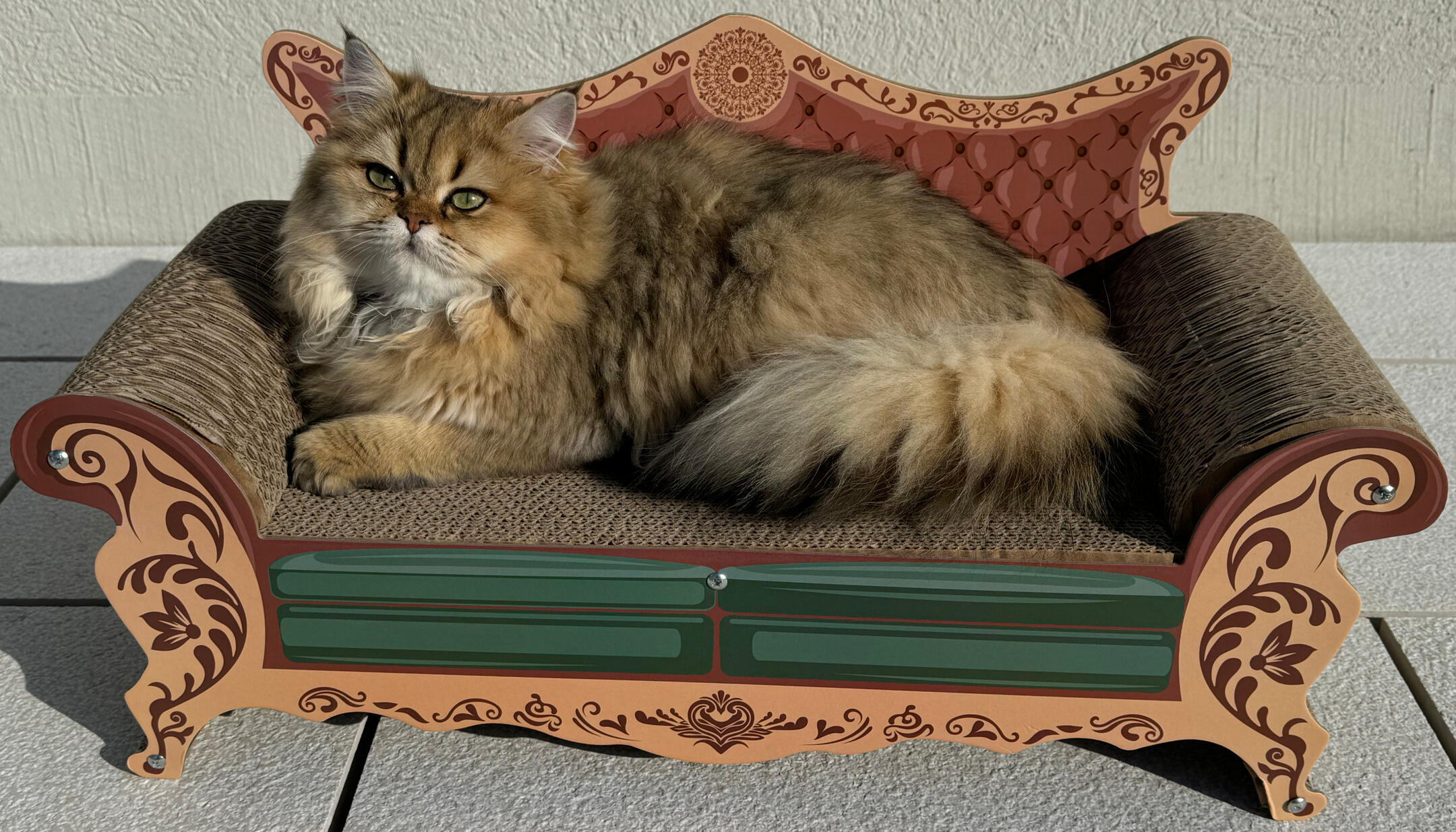 Kenzie vom Hönggerwald Kenzie vom Hönggerwald, British Longhair, liegt auf Katzensofa.