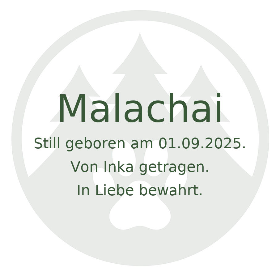 In Gedenken an Malachai vom Hönggerwald Malachai - Still geboren am 1. September 2025. Von Inka getragen. In Liebe bewahrt.